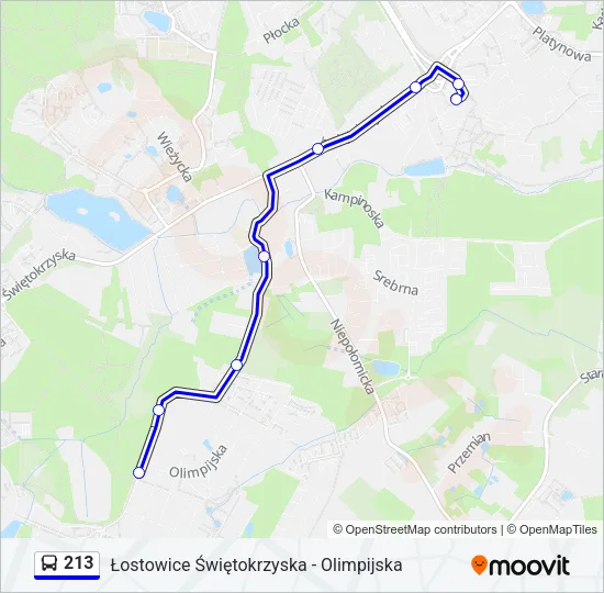 213 Bus Line Map