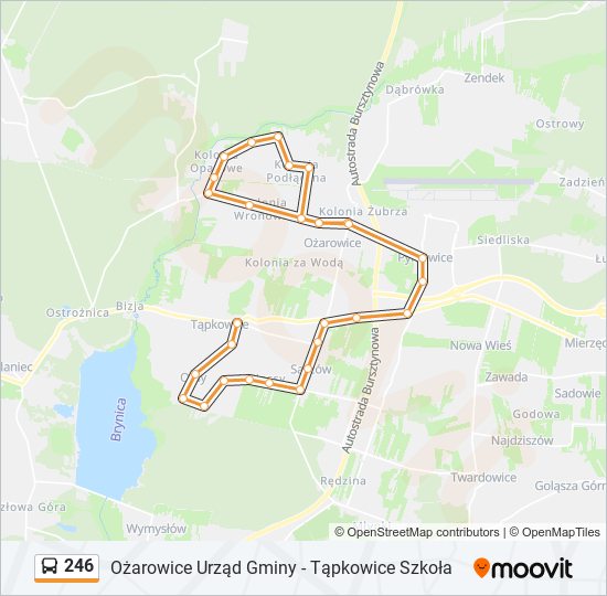 246 bus Line Map