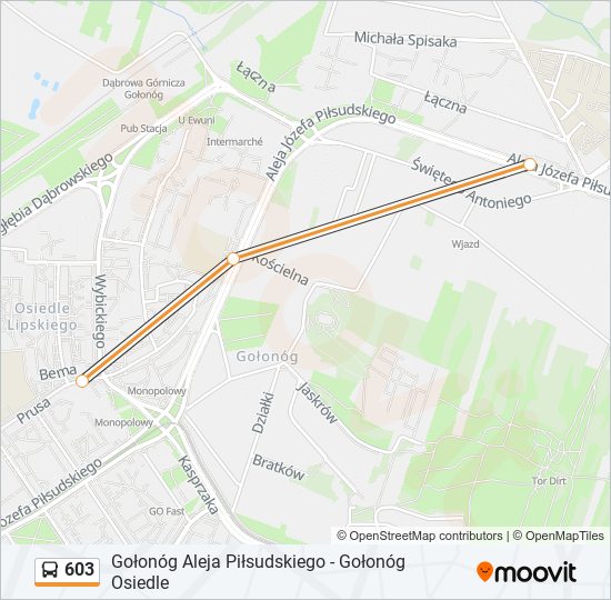 603 bus Line Map