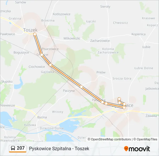 207 Bus Line Map