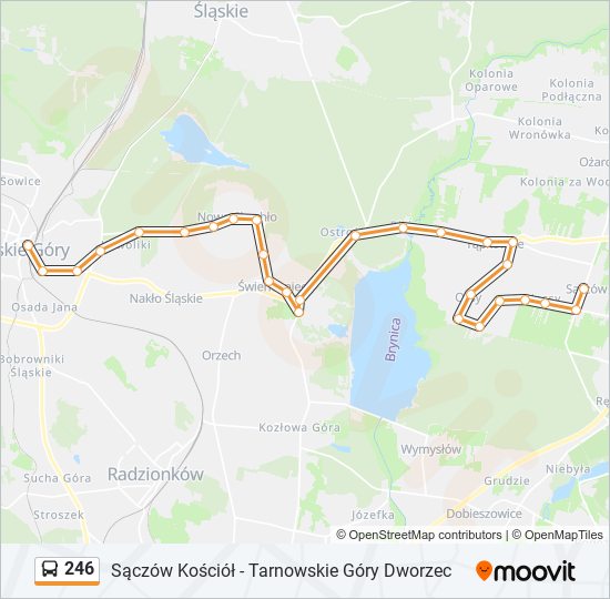 246 bus Line Map