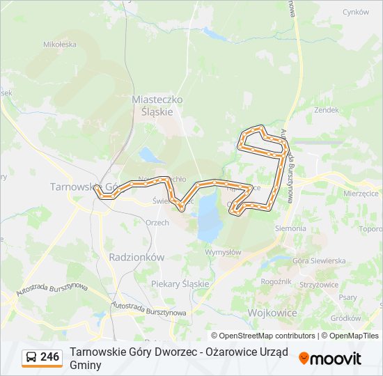 246 bus Line Map