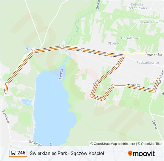 246 bus Line Map