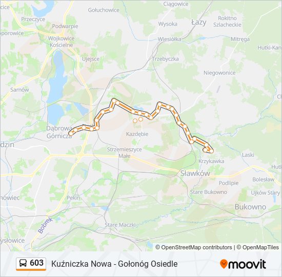 603 bus Line Map