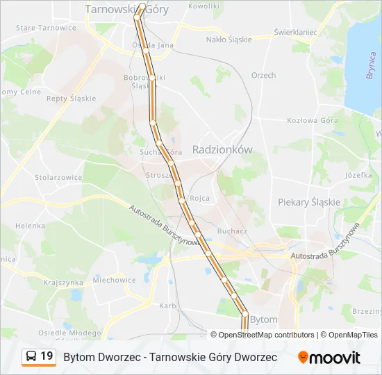 19 Bus Line Map