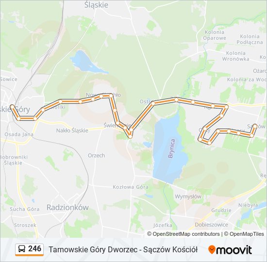 246 bus Line Map