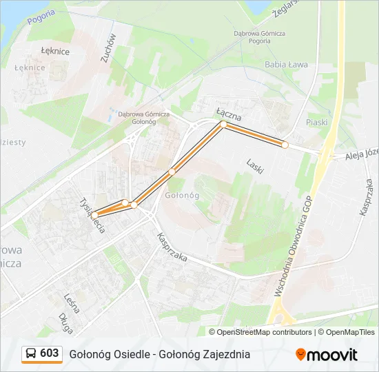 603 Bus Line Map