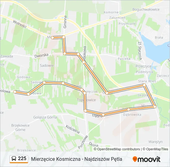 Автобус 225: карта маршрута