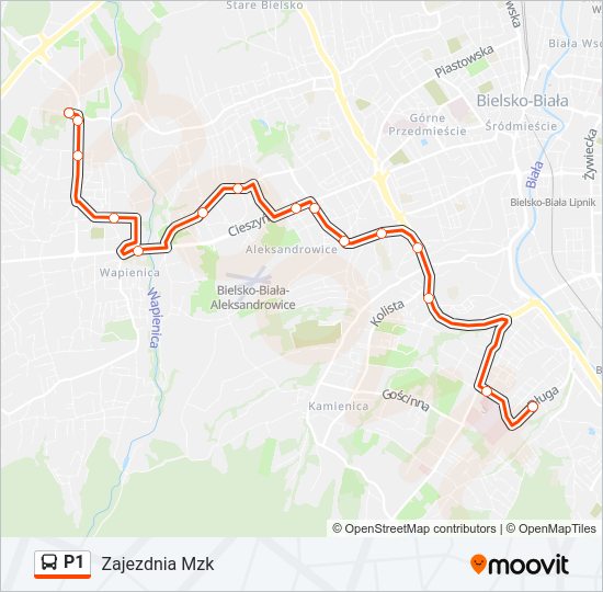 P1 bus Line Map