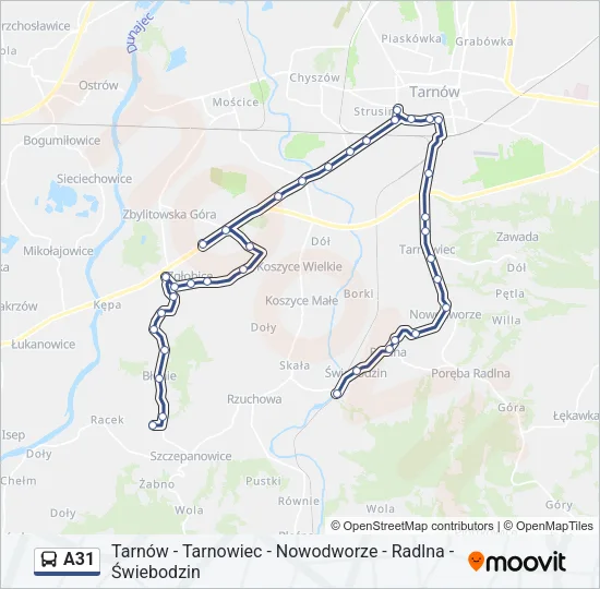 A31 Bus Line Map