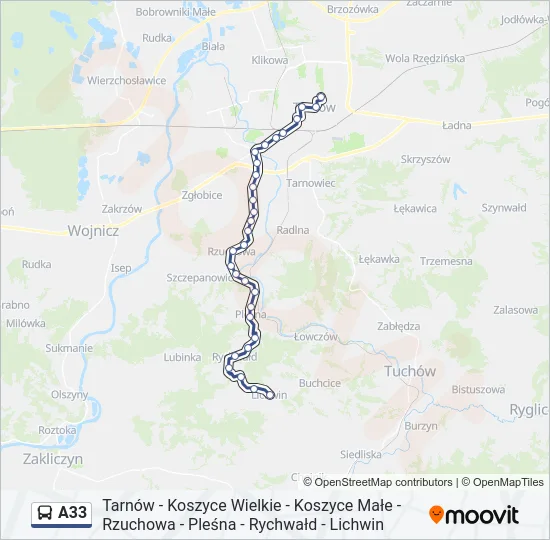 A33 Bus Line Map