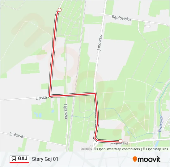 GAJ Bus Line Map