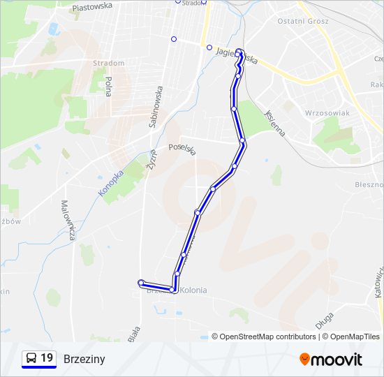 19 bus Line Map