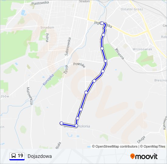 19 bus Line Map