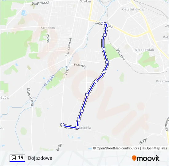 19 Bus Line Map