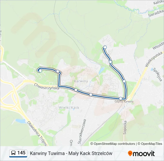 Автобус 145: карта маршрута