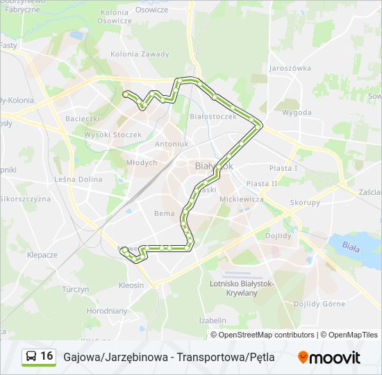 16 bus Line Map