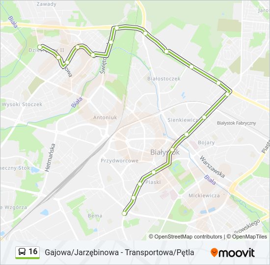 16 bus Line Map