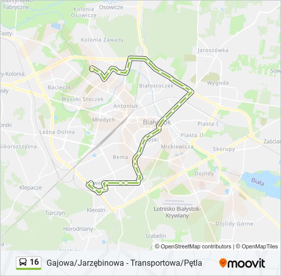 16 bus Line Map