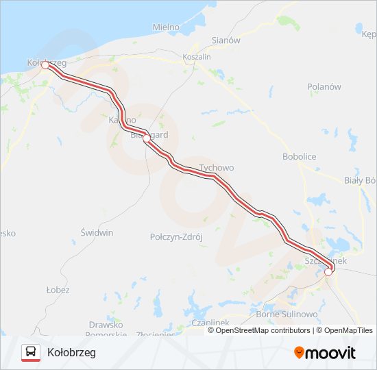 ZKA IC 38100 bus Line Map