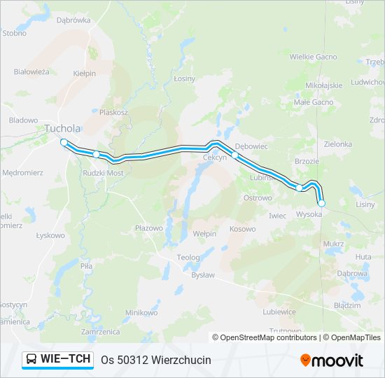 WIE—TCH bus Line Map