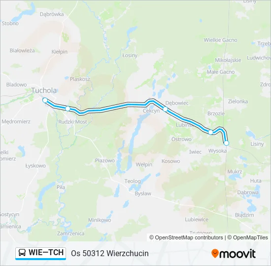 WIE—TCH Bus Line Map