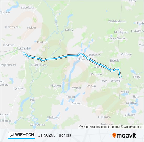 WIE—TCH bus Line Map