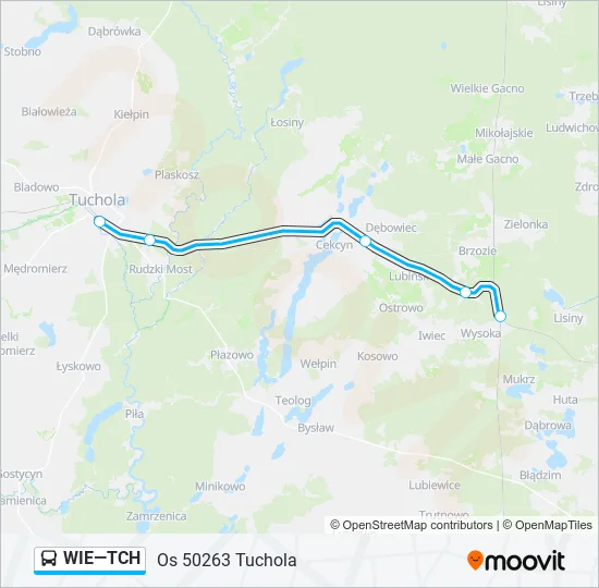 WIE—TCH Bus Line Map