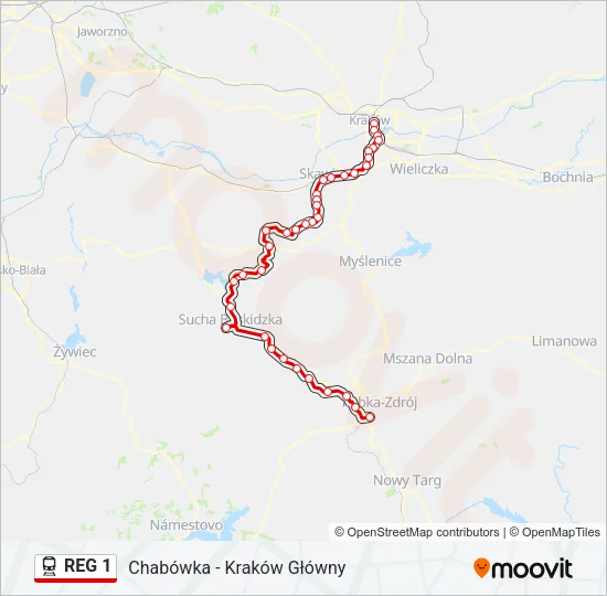 REG 1 Train Line Map