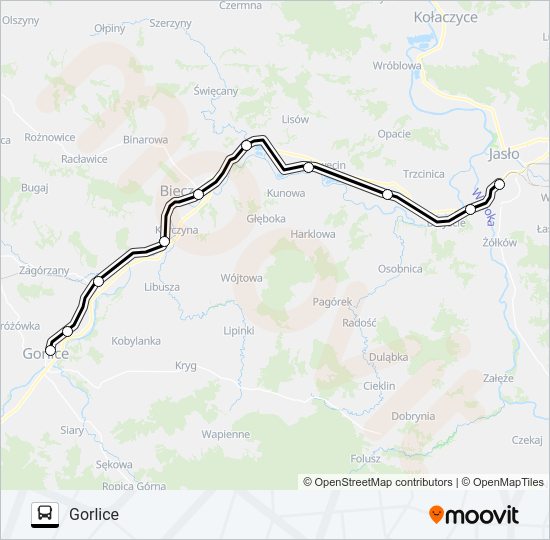 ZKA REG 1 bus Line Map