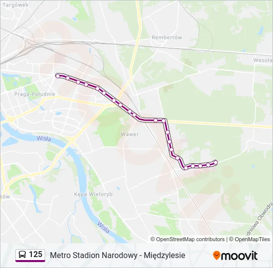 125 Bus Line Map