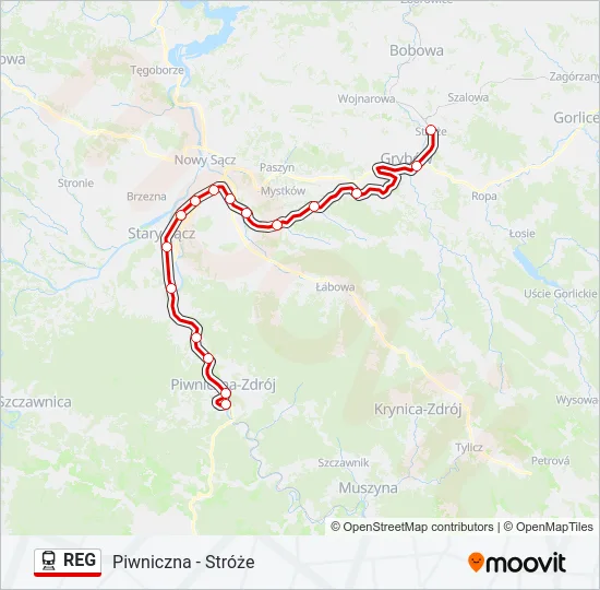 REG Train Line Map
