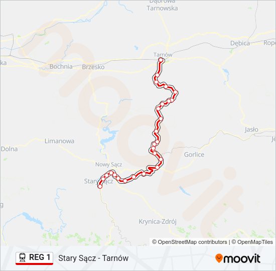 REG 1 train Line Map