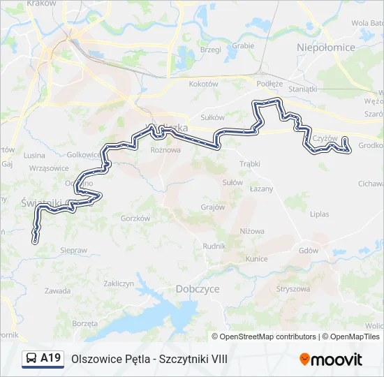 A19 Bus Line Map