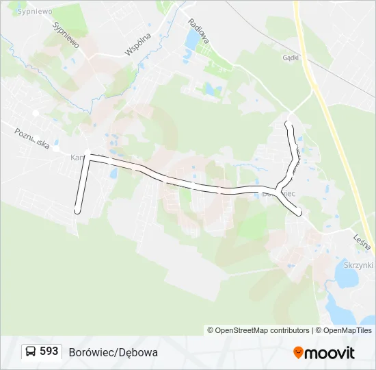 Автобус 593: карта маршрута