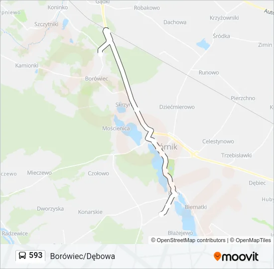 Автобус 593: карта маршрута
