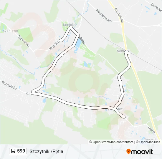 Автобус 599: карта маршрута