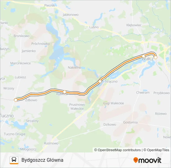 Автобус ZKA REG 1: карта маршрута