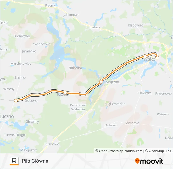 Автобус ZKA REG 1: карта маршрута