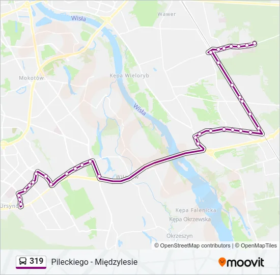 319 Bus Line Map