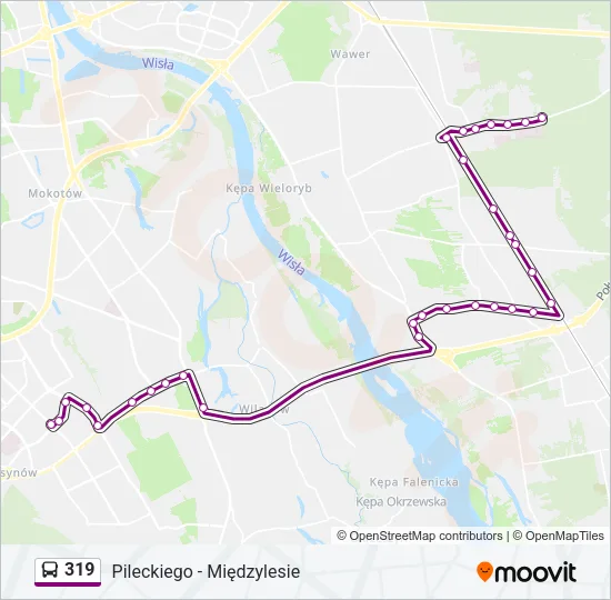 319 Bus Line Map