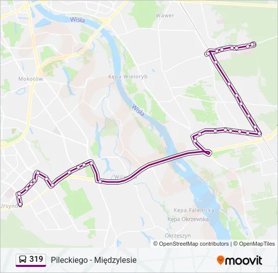 319 Bus Line Map