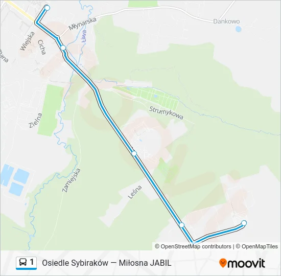 Автобус 1: карта маршрута