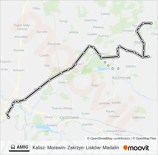 AMIG Bus Line Map