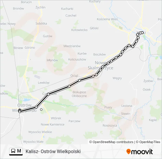 M Bus Line Map