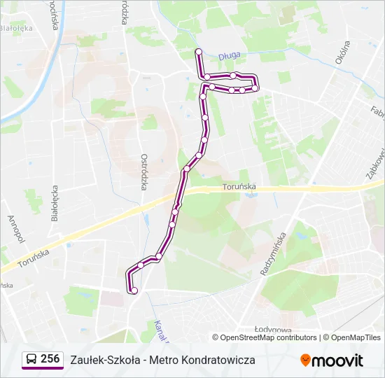 256 Bus Line Map