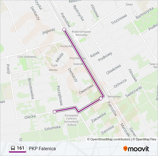 161 bus Line Map