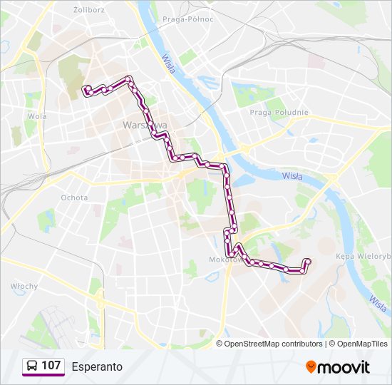 107 Bus Line Map