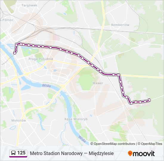 125 Bus Line Map