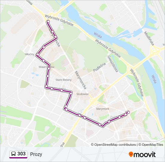 303 bus Line Map